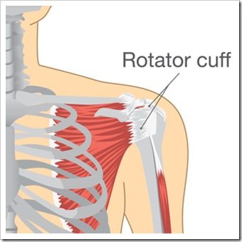 Shoulder Pain Los Angeles CA Rotator Cuff Injury